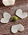 Flor PEÔNEA kit Pétalas para 1 flor - Imagem 2