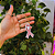 50 Unidades de Chaveiro Laço Outubro Rosa - Imagem 5