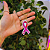 50 Unidades de Chaveiro Laço Outubro Rosa - Imagem 3