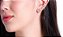 Brinco EarCuff Folhas - Imagem 1