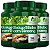 3 Potes Ginkgo Biloba + Ginseng Kit 360 Cáps - Fonte Verde - Imagem 1