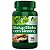 Ginkgo Biloba + Ginseng 120 Cáps - Fonte Verde - Imagem 1