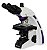 Microscopio Trinocular Otica Infinita Planacromatico Led 1600x Com Monitor - Imagem 3