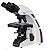Microscópio Binocular Ótica Finita Acromático LED 1600x com Contraste de Fase 640x - Imagem 1