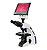 Microscopio Trinocular Otica Finita Acromatico Led 1600x Com Monitor - Imagem 1