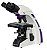 Microscopio Binocular Otica Finita Acromatico Led Aumento 1000x Com Seta - Imagem 1