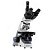 Microscopio Trinocular Otica Finita Planacromatico Led 2000x - Imagem 1