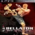 BELLATOR MMA – Mídia Digital - Imagem 1
