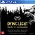 DYING LIGHT – Mídia Digital - Imagem 1
