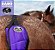 Protetor de Rabo Estampa Boiadeira - Boots Horse - Imagem 2