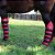 Kit Protetor de Viagem Longo Preto - Boots Horse - Imagem 3