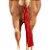 Saco para Rabo Vermelho - Boots Horse - Imagem 2