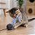 Refil de pompom com penas divertidas para gatos cores sortidas - Imagem 2