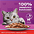 Ração Úmida Sachê Whiskas para Gatos Castrados Sabor Carne ao Molho - Imagem 2