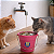 Bebedouro para Gatos Magicat Cat My Pet | Fonte de Água com Filtro, Silenciosa e Antiestresse - Imagem 6
