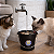 Bebedouro para Gatos Magicat Cat My Pet | Fonte de Água com Filtro, Silenciosa e Antiestresse - Imagem 3