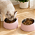 Comedoouro para Gatos Formato de Gatinho com Tigela de Inox - Imagem 1