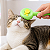 Escova Tira pelos para gatos com botão de limpeza - Imagem 5