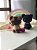 Mini pet Personalizado - Gatos - Imagem 1