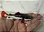 CHAVEIRO REALISTA - PIRARARA - Imagem 4