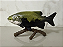 ENFEITE DE MESA - TAMBAQUI (VERDÃO) - Imagem 1