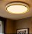 Plafon de Sobrepor LED Multitemperatura 14W 28CM Acrílico/Metal Dourado Sindora DCX02362 - Imagem 1