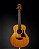 Taylor GS Mini Mahogany - Produto Usado - Imagem 1