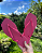 Chinelo TROPP square PINK - Imagem 1