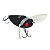 Isca Nynfa 4cm 6g Cigarrinha Superfície - Albatroz Fishing - Imagem 1