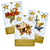 The Dwarf King - Imagem 2
