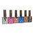 Kit Esmalte em Gel Magnético 6 Und (Sem TPO) - Fan Nail - Imagem 1