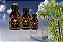 Pura Essência Bamboo Dreams - Imagem 1