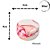 Lata Marmorizada Rose 90ml - Imagem 1
