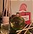 Difusor de aromas - Imagem 2