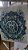 Bolsas ecobagecologicas mandalas/chakras - Imagem 6