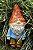GNOMOS COLORIDOS - Imagem 1