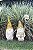 GNOMOS COLORIDOS - Imagem 7