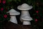 TRIO DE COGUMELOS - Imagem 6