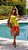 VESTIDO APOA - Imagem 5