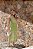 CONJUNTO JARDIM - Imagem 5