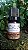 Óleo Essencial Manjericão Cravo Orgânico 5ml - Imagem 1