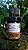 Óleo Essencial Capim Limão Orgânico 5ml - Imagem 1