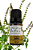 Óleo Essencial Quioiô Orgânico 10ml - Imagem 1