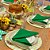 Kit Capas de Sousplat Mesa Posta Xadrez Festa Junina Arraiá com Guardanapos e Porta Guardanapos - Imagem 10