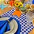 Kit Capas de Sousplat Guardanapos Pg com Trilhos de Mesa Festa Junina Xadrez - Imagem 3