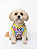 Agasalho de Soft Color Dogs - Imagem 5