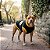 Moletom BULLY K-9 - Imagem 2