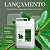 Shampoo De Lavatorio Eaê Cosmeticos Jaborandi 5lt - Imagem 4