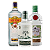 Velvo Botanic 800ml + Tanqueray Rangpur 700ml + Gordons Gin 750ml - Imagem 1