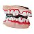 DENTADURA DE MONSTRO HALLOWEEN - CONTÉM 1 UNIDADE - YDH - Imagem 1
